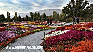تصویر از باغ گیاه‌شناسی ملی ایران