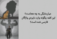 تصویر از میان‌مایگی به چه معناست؟
