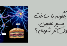 تصویر از چگونه با ساخت مسیرهای عصبی بیشتر، خلاق‌تر شویم؟