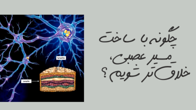 تصویر از چگونه با ساخت مسیرهای عصبی بیشتر، خلاقتر شویم؟